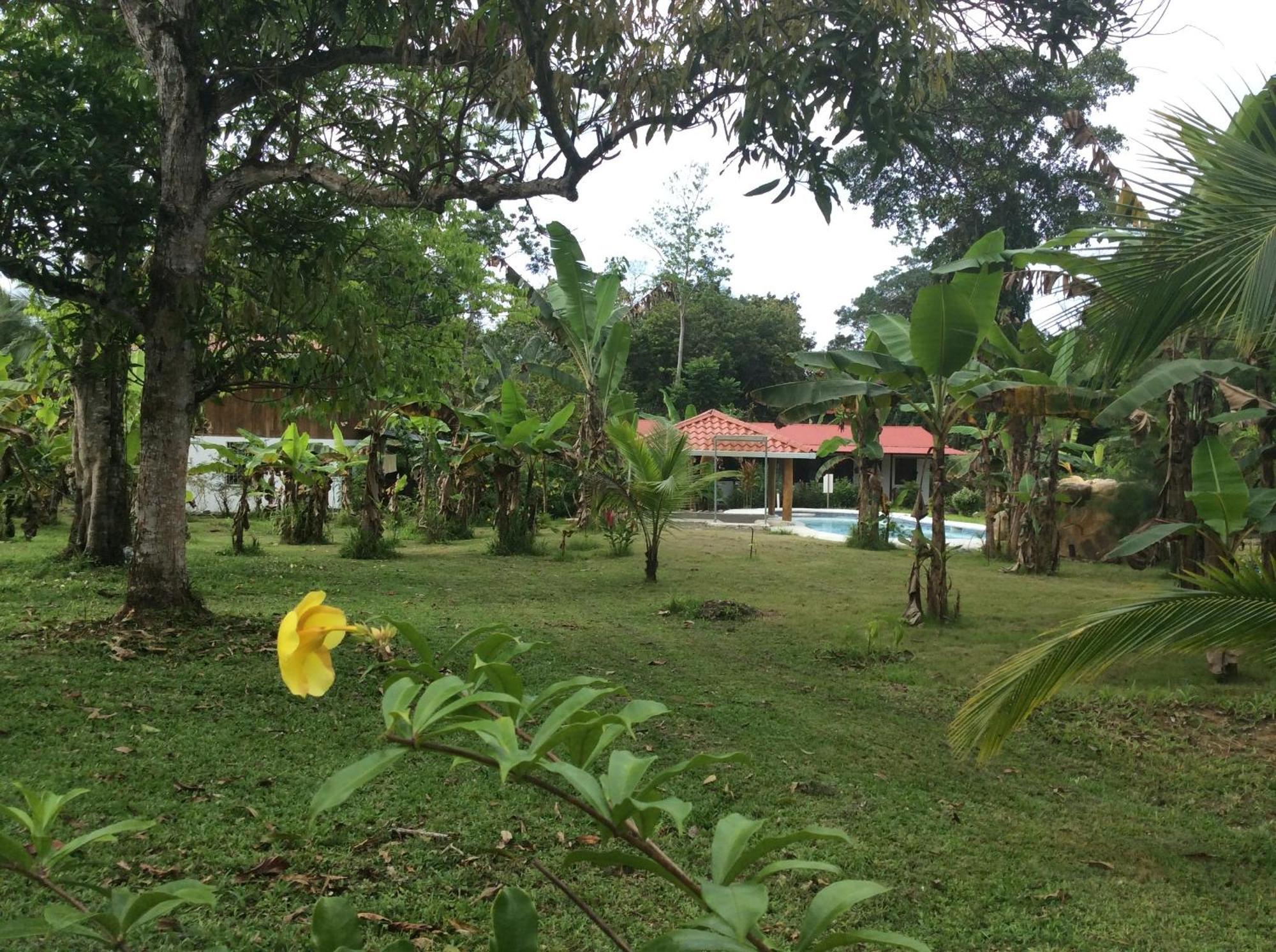 Cabinas Los Tucanes Cahuita Exterior foto