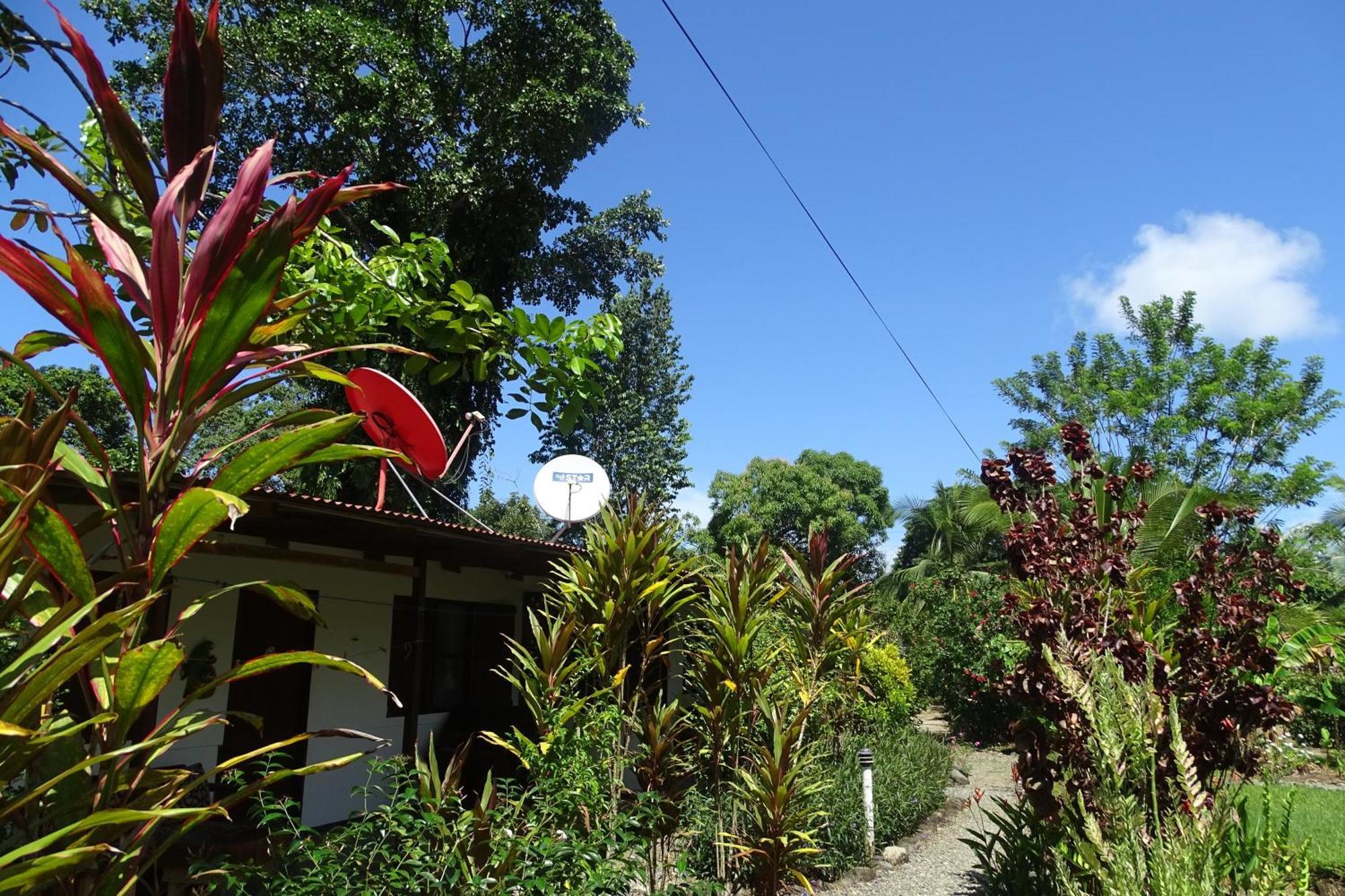 Cabinas Los Tucanes Cahuita Exterior foto