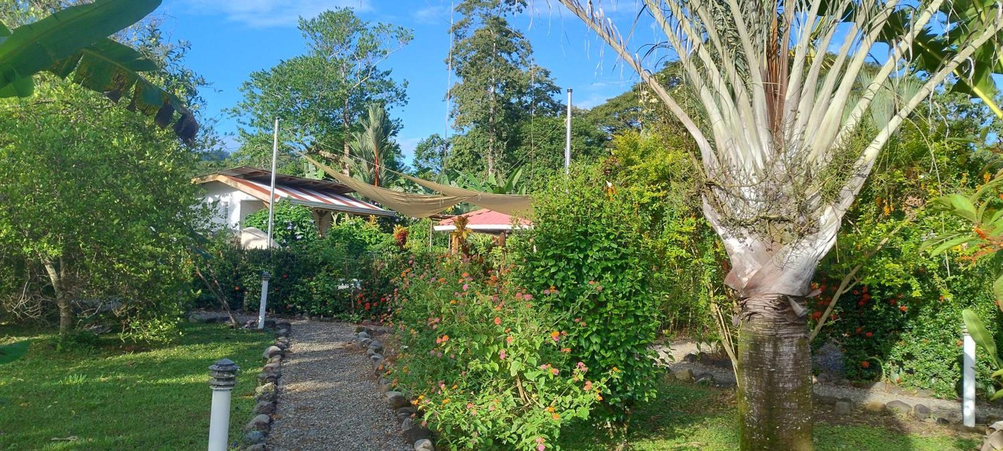 Cabinas Los Tucanes Cahuita Exterior foto